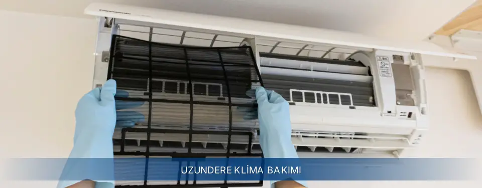 Uzundere İlçemi Electrolux Klima Bakımı