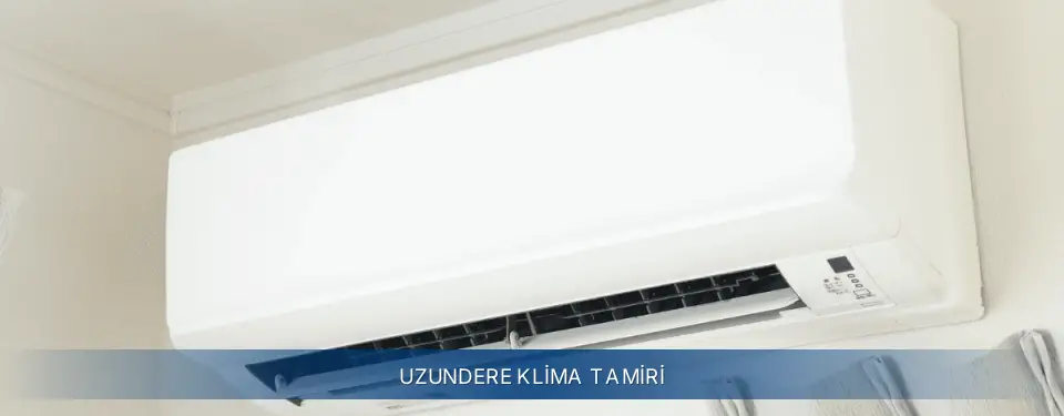 Uzundere İlçemi Electrolux Klima Tamiri