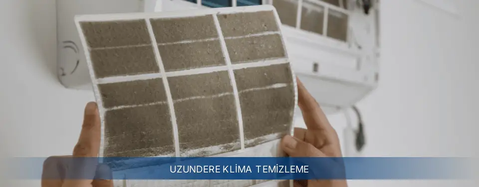 Uzundere İlçemi Electrolux Klima Temizleme